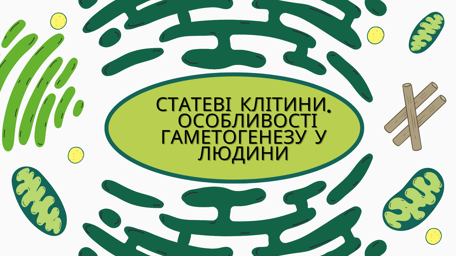 /