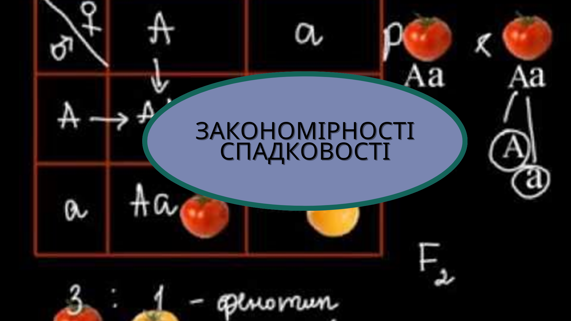 /