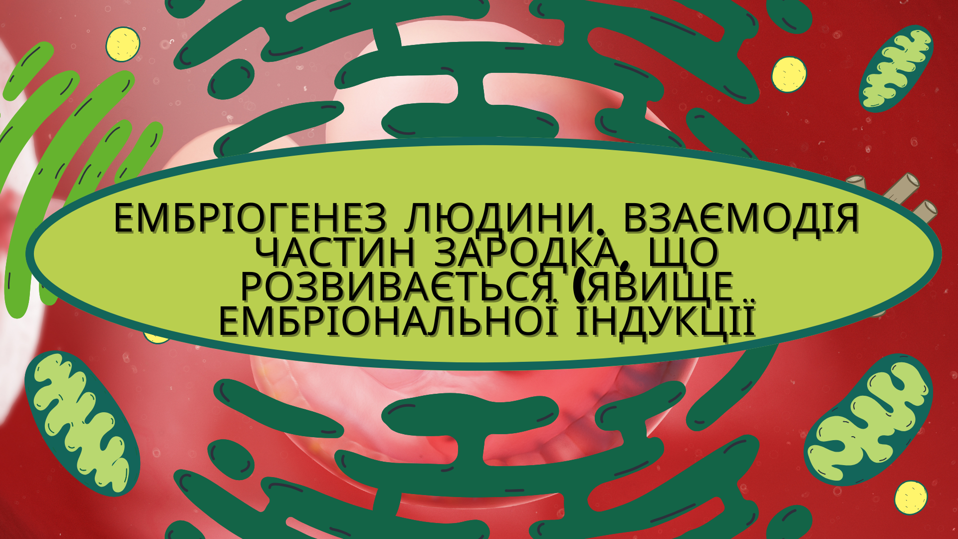 /
